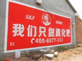 德宏刷墙广告”蕴含了时代命题