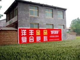 德宏如何让墙体广告展现最大化效果
