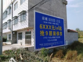德宏墙体广告质量分析